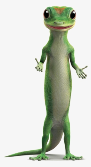 24 Feb 2015 - Geico Gecko