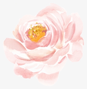 Realistic Watercolor Flower Material - Pink