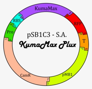 File - Circulo - Make It A Great Day