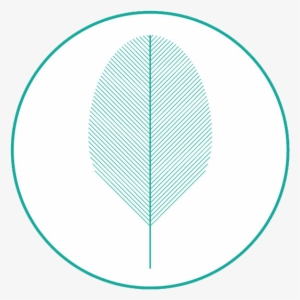 20171127 Logo Cf Circulo - Circle