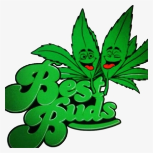 Best Buds Basement - Best Bud-t Mugs