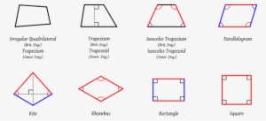 Quadrilaterals - Svg - Other Types Of Parallelogram