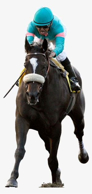 Zenyatta And Mike Smith Photo Zenyatta