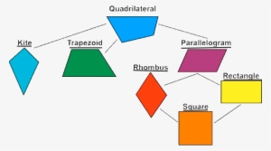 Square Rectangle Parallelogram Rhombus Trapezium Kite