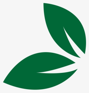 Hoja Png - Leaf
