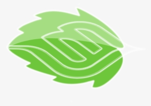 Score 48% - Linux Mint