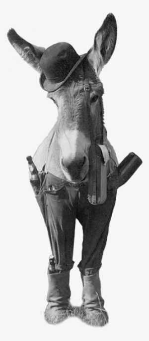 Forbes - Olancha Remembered