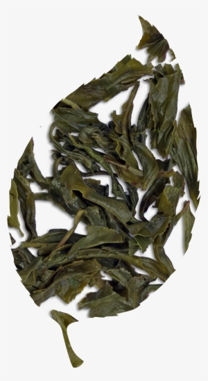 Moroccan Mint - White Tea