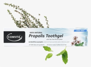 Natural Oral Care - Comvita Propolis Toothgel 90g