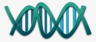 X The Foundation For Peripheral Neuropathy Diabetic - Dna Clip Art