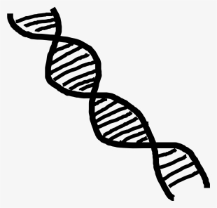 Dna Double Helix - Dupla Helice Png