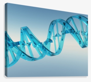 Dna Strand Canvas Print - Dna