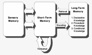 What's Critical To Understand, Is That The Capabilities - Domain-specific Learning