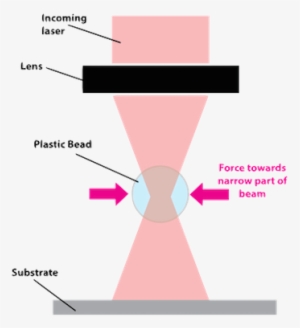 A Schematic Of A Simple Optical Trap Acting On A Transparent - Diagram