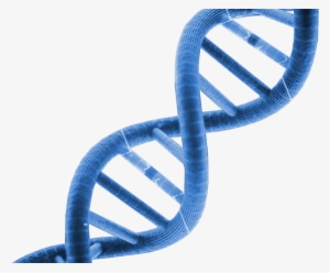 Dna Clipart Clipart Transparent Background - Dna Png