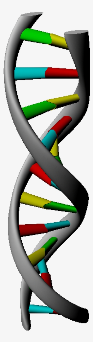3d Dna Strand Rendering In Maya - Rendering