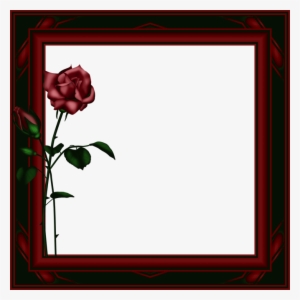 Dark Rose Frame Png