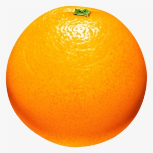 Orange Png Clipart - Fruits In Circle Shape