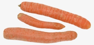 Carrot Png Image - Portable Network Graphics