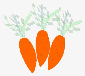 Carrots Png