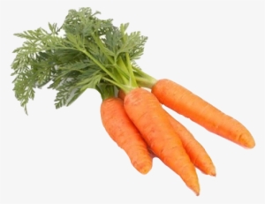 Carrot Transparent Loose - Carotte Botte Png