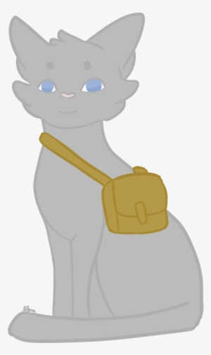 Cat And A Bag - Minskin