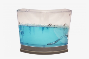 Illuminated Ant Habitat - Ant