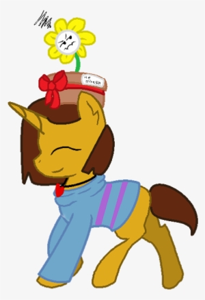 Photo - Pony
