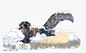 Dressed Pet - Chicken