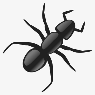 Free Png Ant Png Images Transparent - Ant Clip Art