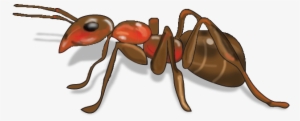Ipad - Png Image Of Ant