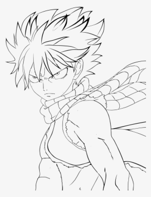 Picture Transparent Collection Of Free Natsu Download - Draw Anime Fairy Tail