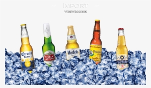 Beer