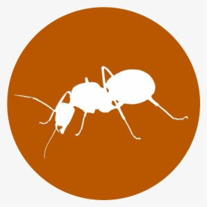 Ant Replica - Ville De Saint Etienne