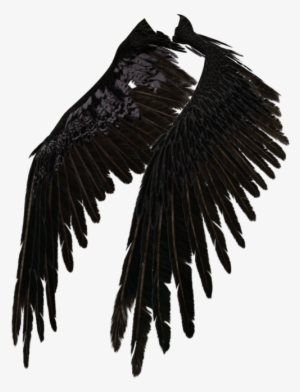 Fallen Angel Wing Png - Dark Angel Wings Transparent
