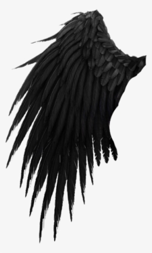 Crow Wing Png Banner Download - Nasdaq:wing
