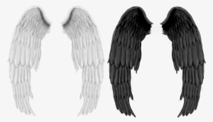 Realistic Demon Wings Png