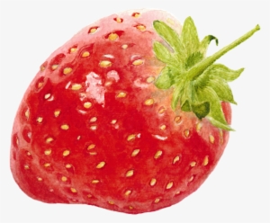 Bleed Area May Not Be Visible - Strawberry Watercolor
