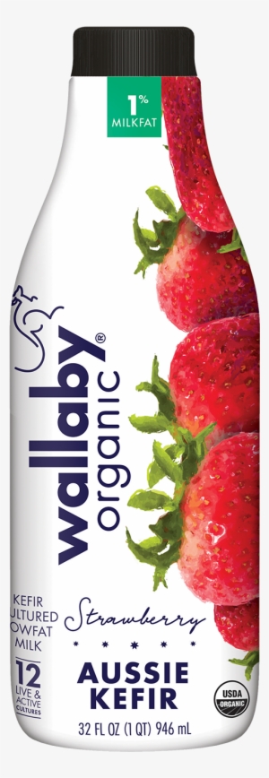 Strawberry Organic Lowfat Kefir - Blueberry Kefir