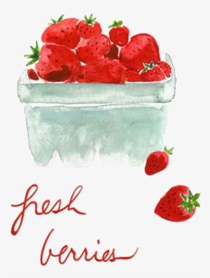 Strawberry Human Sexual Response Drawing Watercolor - Strawberry