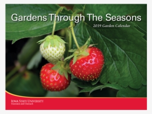 Hort - Strawberries Postcards (package Of 8)