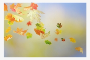 Autumn Leaves Falling