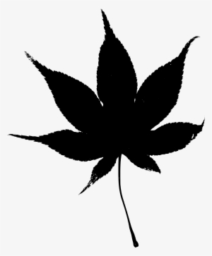 Big Image - Japanese Maple Leaf Png