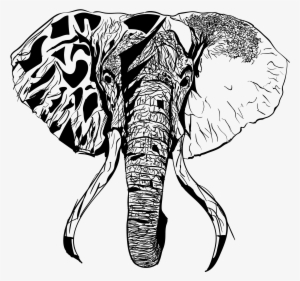 Illustration Of An Elephant's Head - Sketch