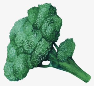 Broccoli - Learning