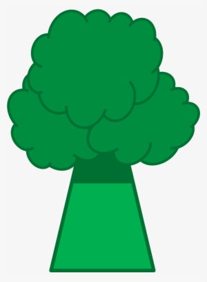 Broccoli - Object Challengers