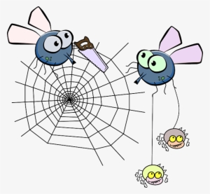 Flies, Mosquito, Spider, Insect, Spiderweb, Saw - Spider Web Clip Art