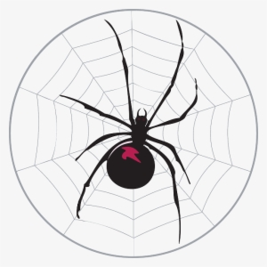 Black, Spider, Web, Widow, Legs, Arachnid - Spider In A Web Twin Duvet