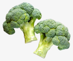 8 Delicious Vegetables For Fall Gardening - Sow Easy Broccoli De Cicco Seeds