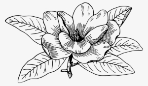 Magnolia Icons Png - Black And White Magnolia Clipart